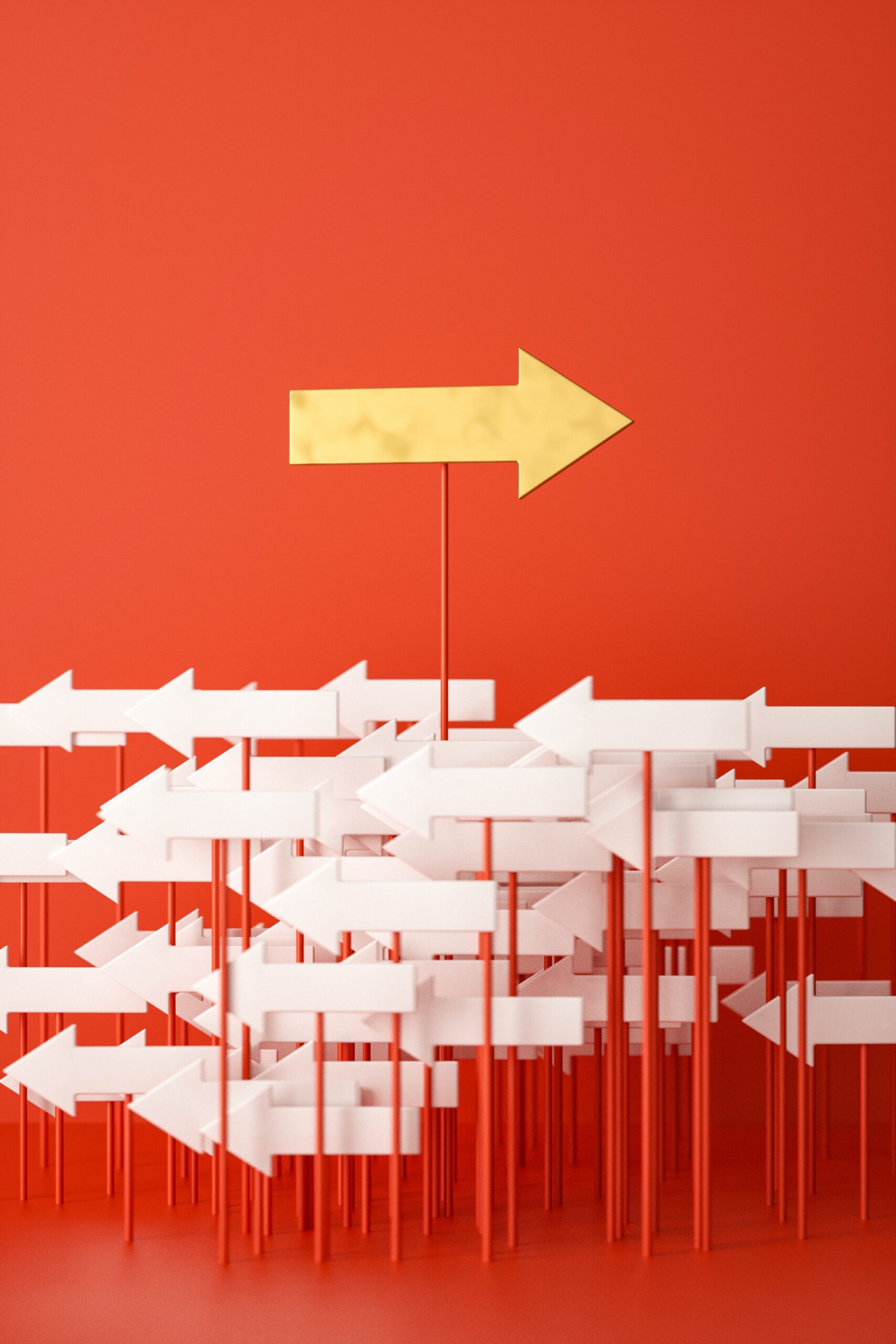 What Makes A Personal Statement Stand Out What Makes A Personal Statement Stand Out